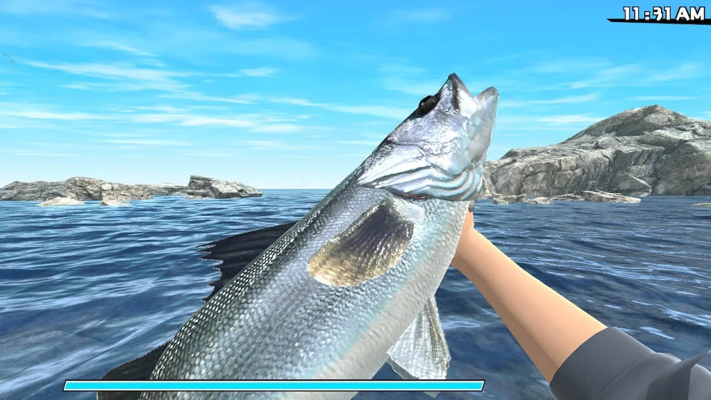 Reel Fishing: Road Trip Adventure for Nintendo Sizewitch