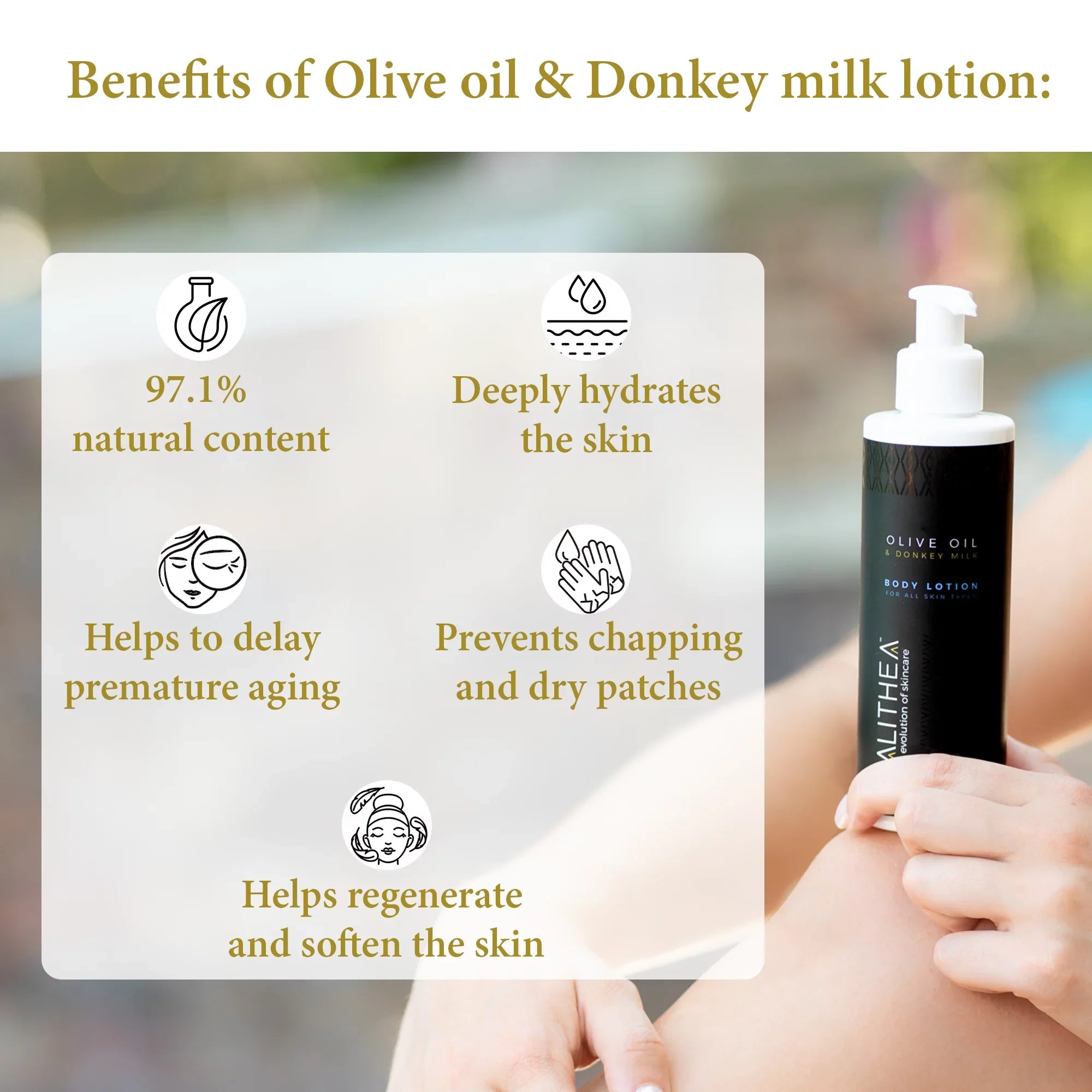 Calithea Natural Organic Body Lotion Duo: Olive Oil Donkey Milk Lotion & Aloe Vera Lotion