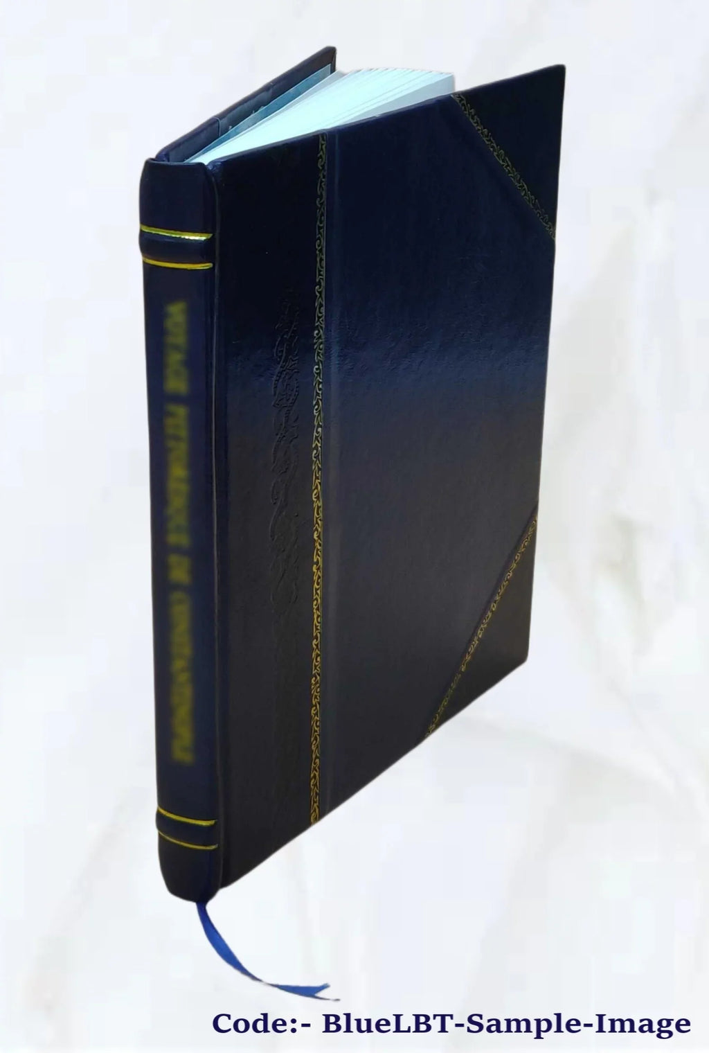 Chemin de Lévis et Kennebec : réfutation de la brochure de C.A. Sizecott 1877 [Leather Bound]