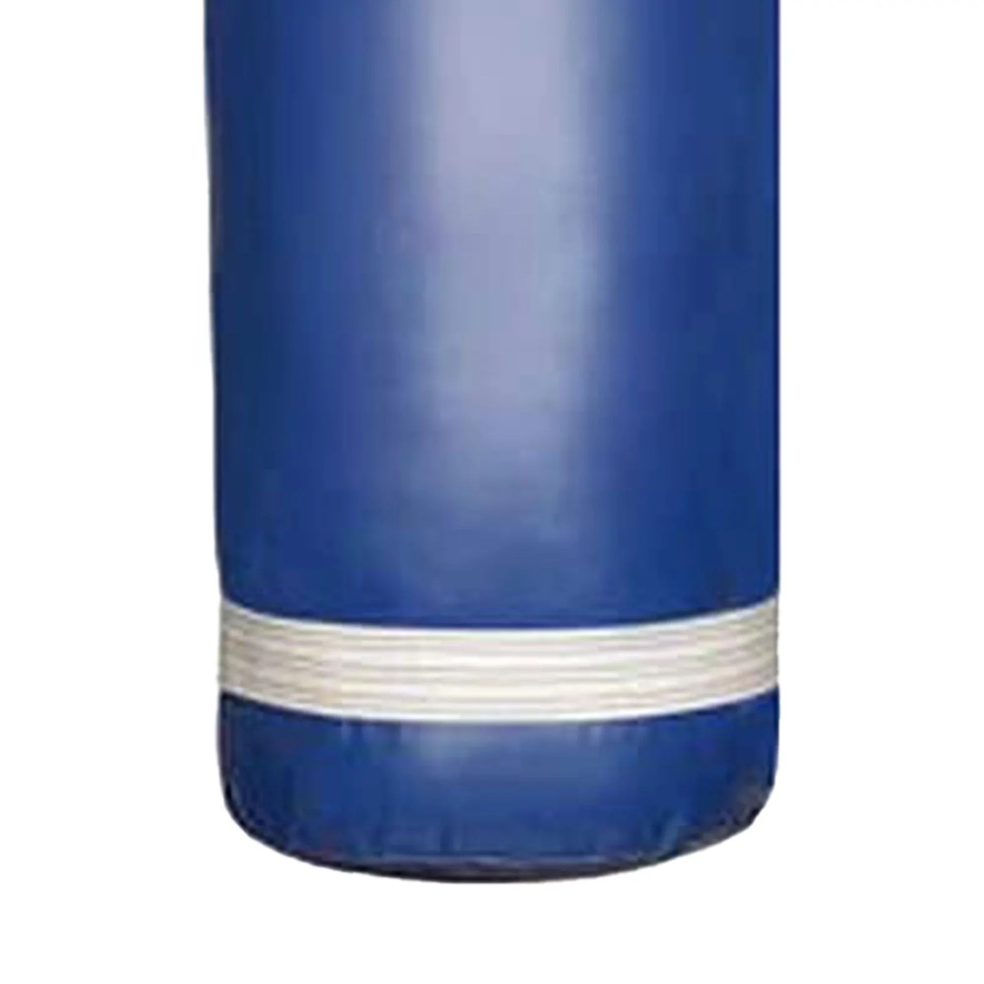 PROLASizeT 80 Lb Boxing MMA Training Filled Heavy Hanging Punching Bag, Blue