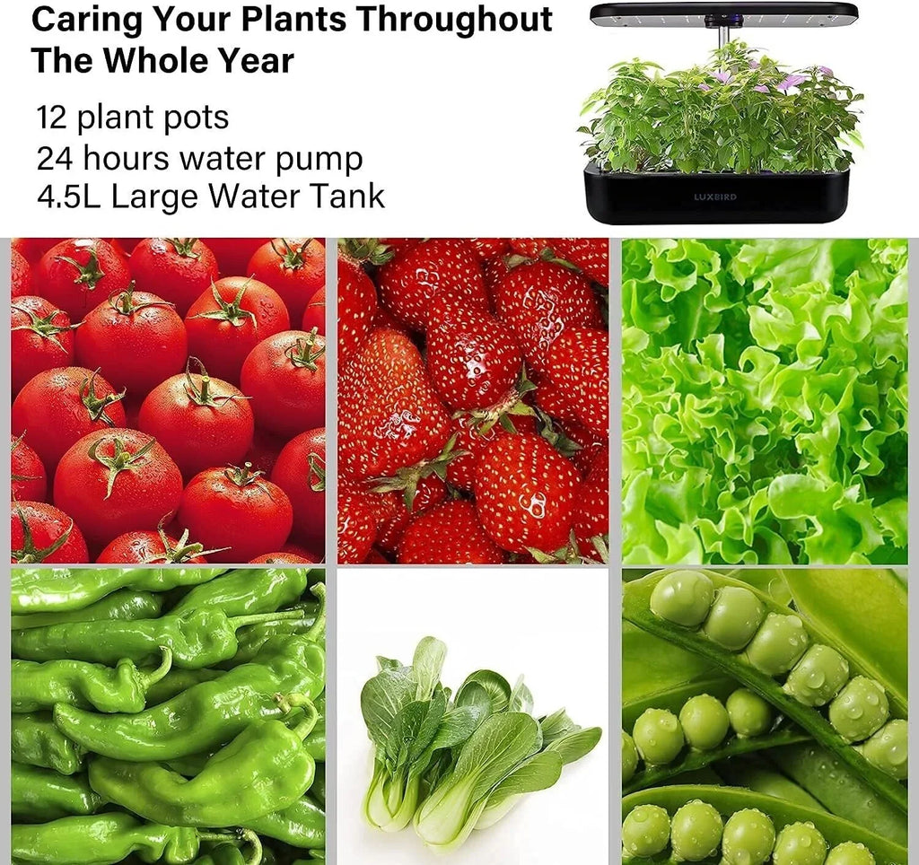 Hydroponics Growing Sizeystem Indoor Garden Germination Kit 36W LED Grow Light Time