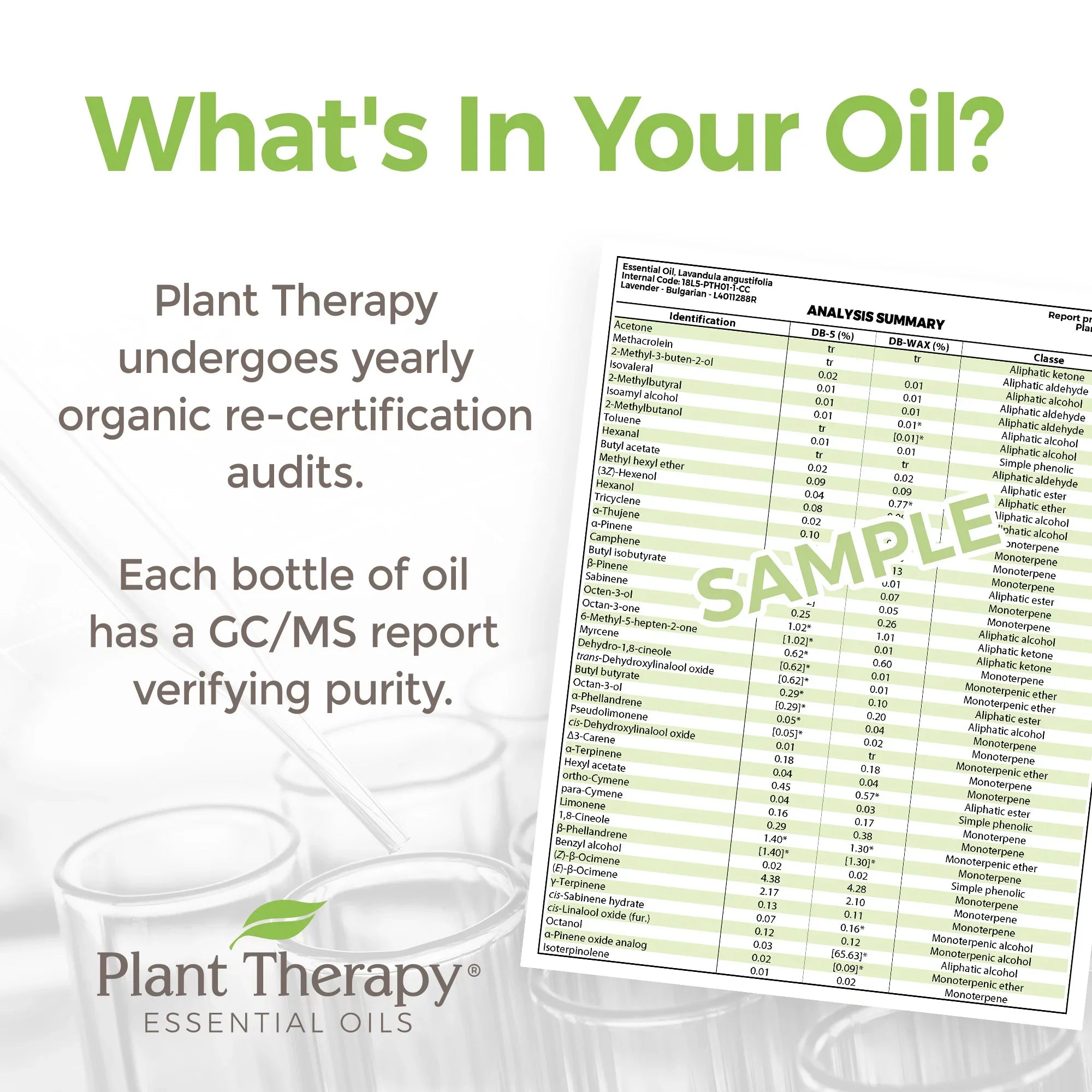 Plant Therapy Organic Eucalyptus Globulus Essential Oil 100 mL (1/3 oz)