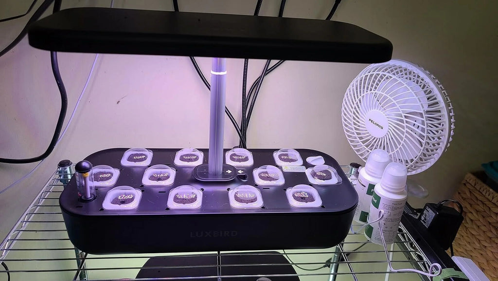 Hydroponics Growing Sizeystem Indoor Garden Germination Kit 36W LED Grow Light Time