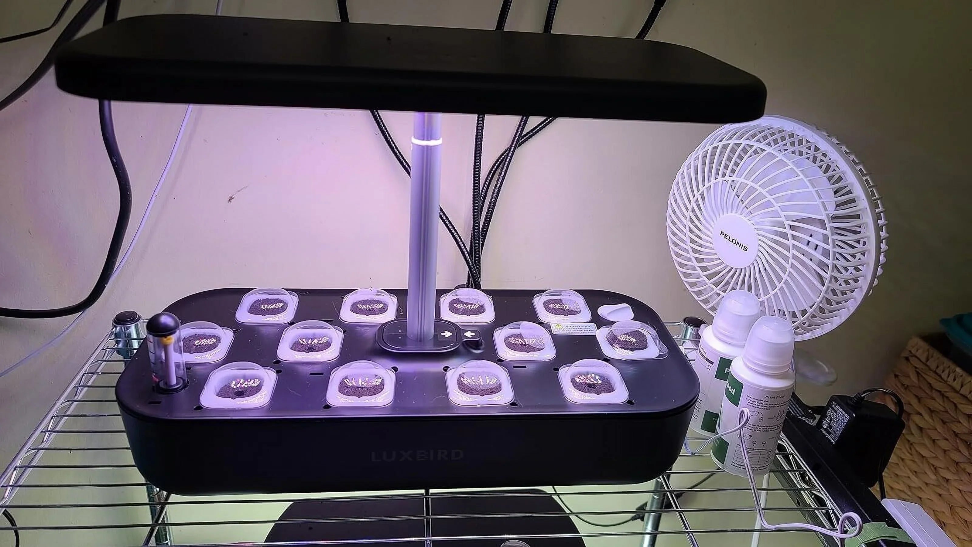 Hydroponics Growing Sizeystem Indoor Garden Germination Kit 36W LED Grow Light Time