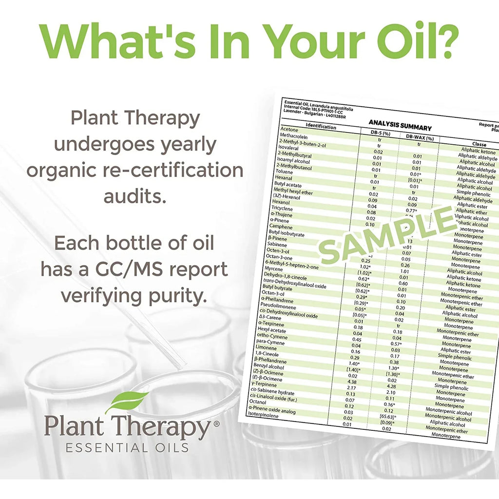 Plant Therapy KidSizeafe Nighty Night Essential Oil Blend for Sizeleep 30 mL (1 oz) 100% Pure, Undiluted, Natural Aromatherapy