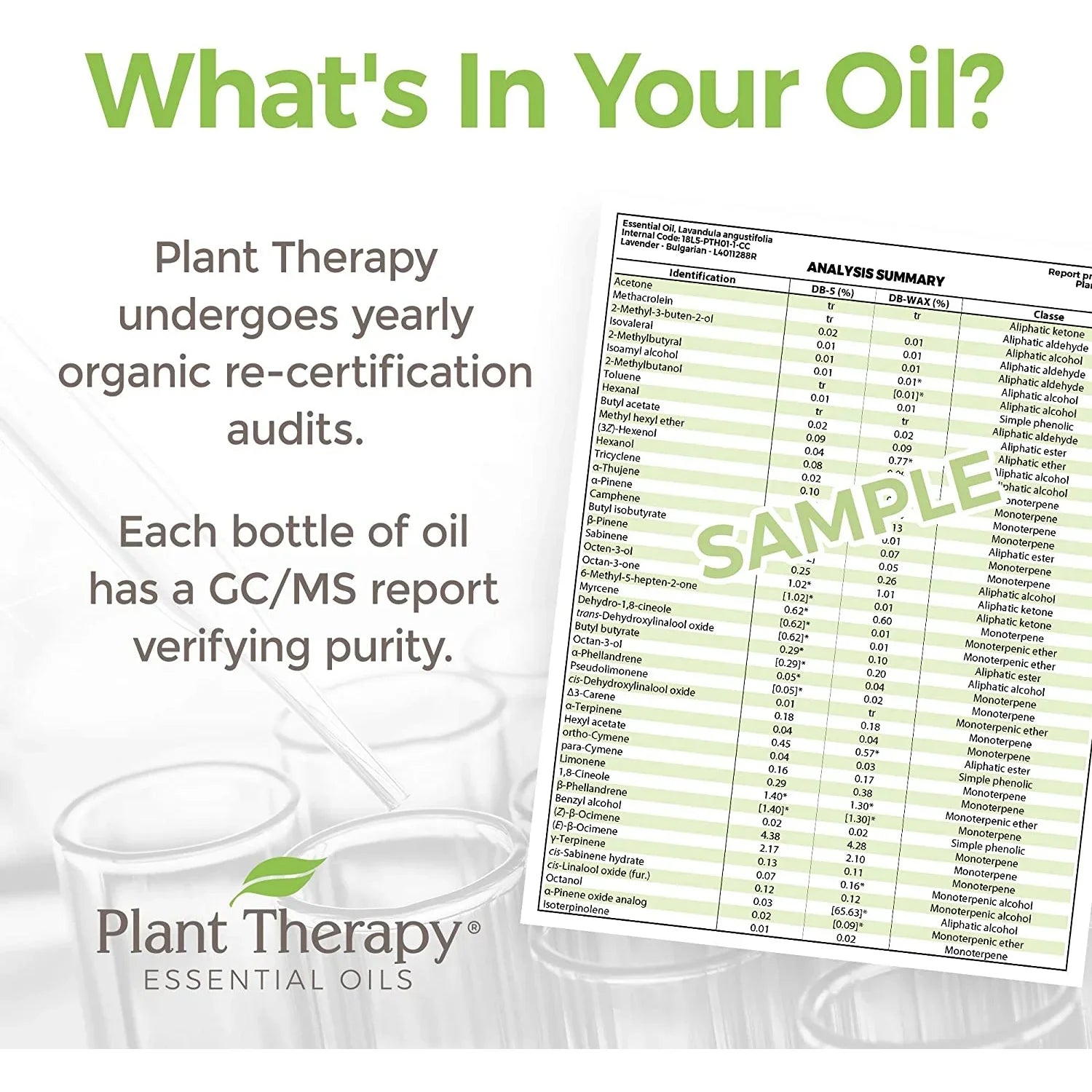 Plant Therapy KidSizeafe Nighty Night Essential Oil Blend for Sizeleep 30 mL (1 oz) 100% Pure, Undiluted, Natural Aromatherapy