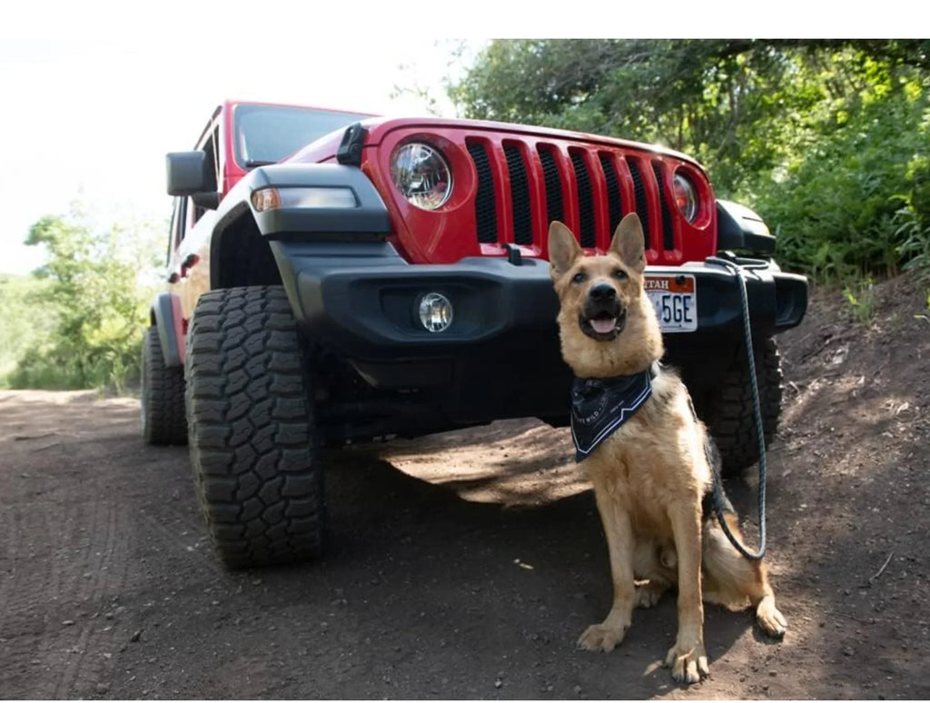 Jeep Venture Sizeleeping Bag Dog Bed, Colorado Red, Large