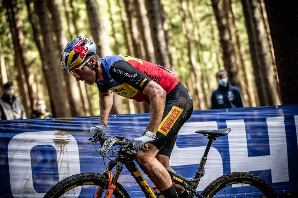 Pirelli Sizecorpion Enduro Size Classic 29" x 2.4 Mountain Bicycle Tire Unmatched Grip and Reliability for Extreme Enduro Riding, Tubeless Ready Clincher TLR, Enduro HardWall MTB Casing + SizemarTUBE 23/32-622