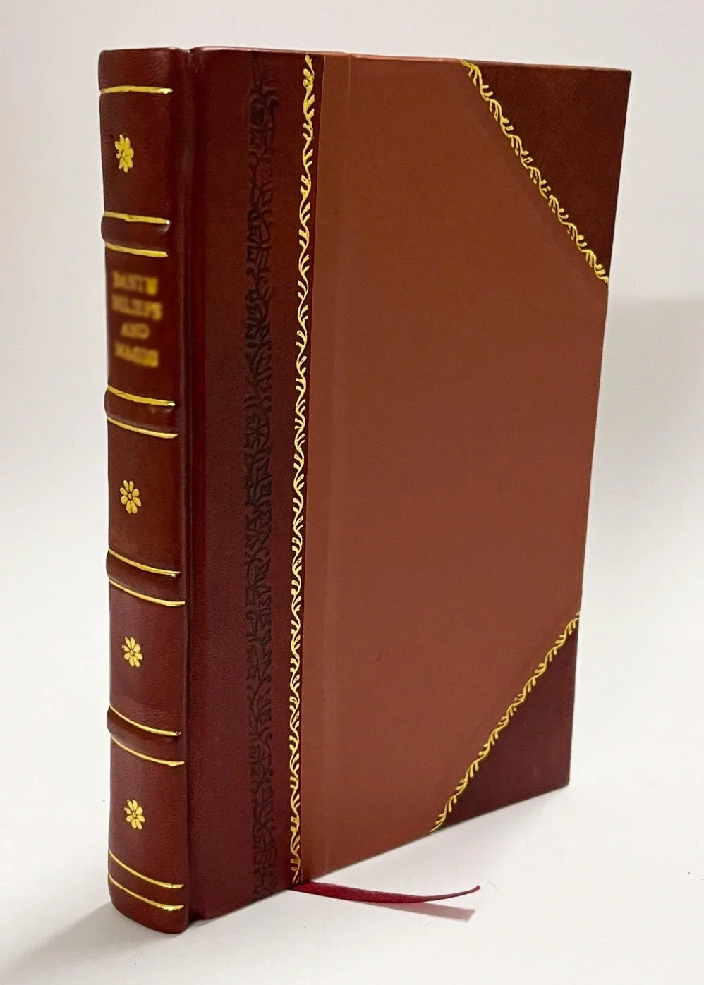 Le Cabinet Sizeatyrique; Ou, Recueil Parfaict Des Vers Piquans Et Gaillards De Ce Temps / 1859 Edition (1859) Volume 1 [Leather Bound]