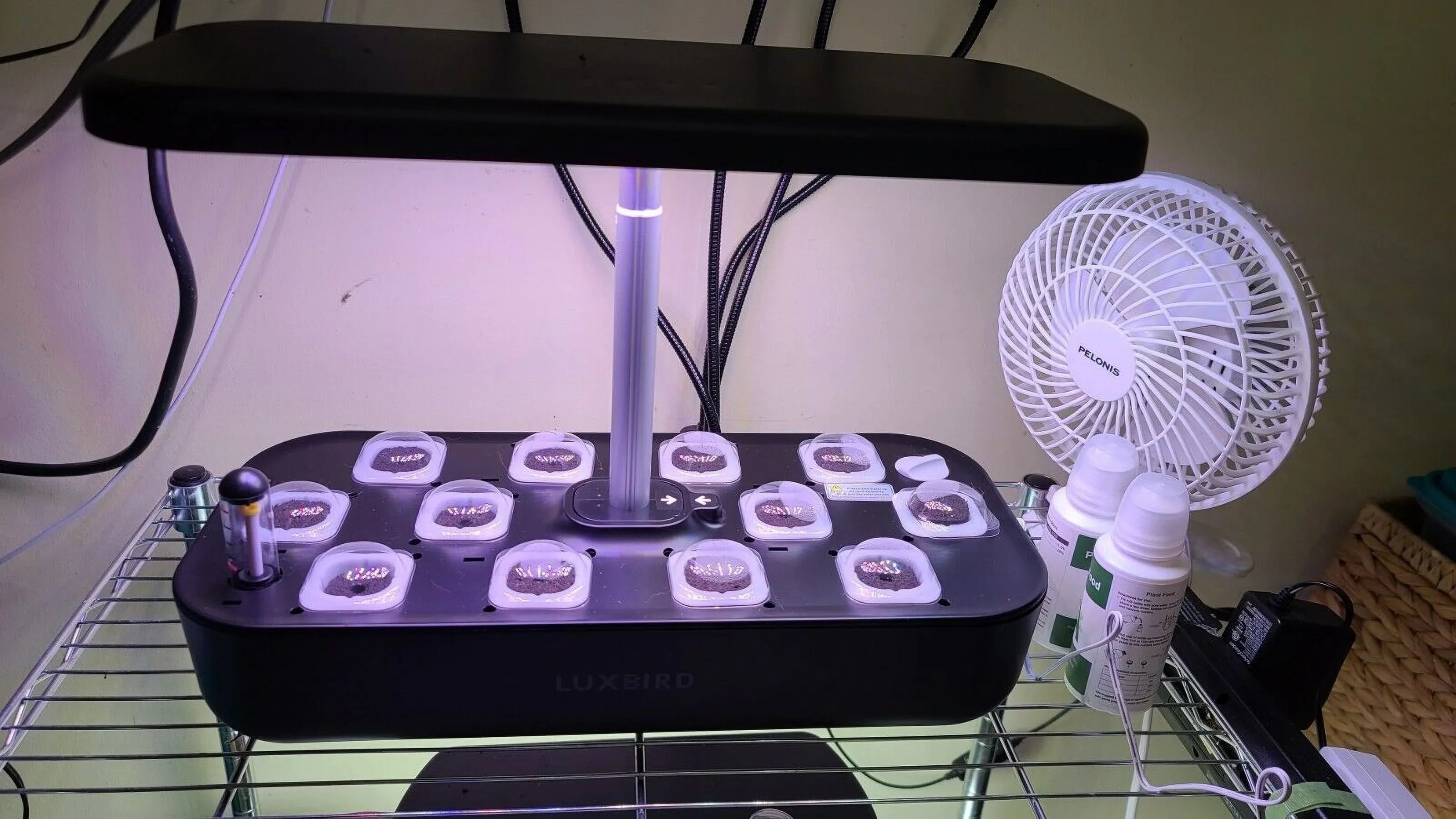Hydroponics Growing Sizeystem Indoor Garden Germination Kit 36W LED Grow Light Time