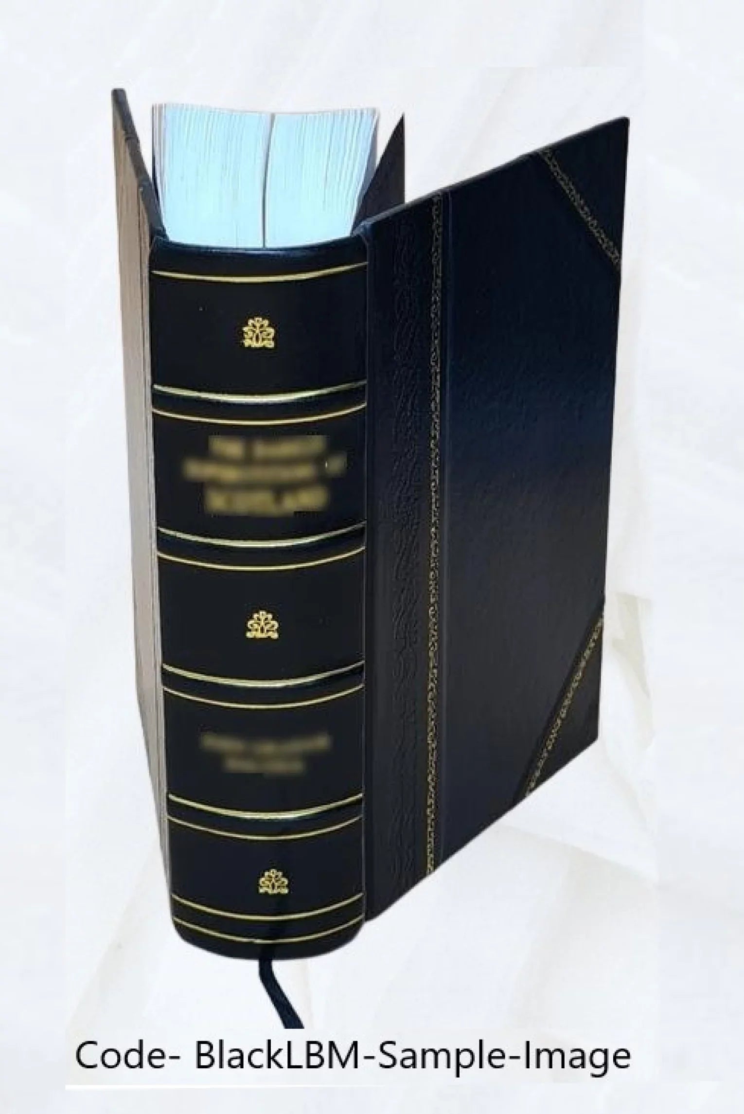 Géographie universelle de Malte-Brun. Tome 6 / entièrement refondue et mise au courant de la science par Th. Lavallée... Volume Volume 6 1858-1860 [Leather Bound]