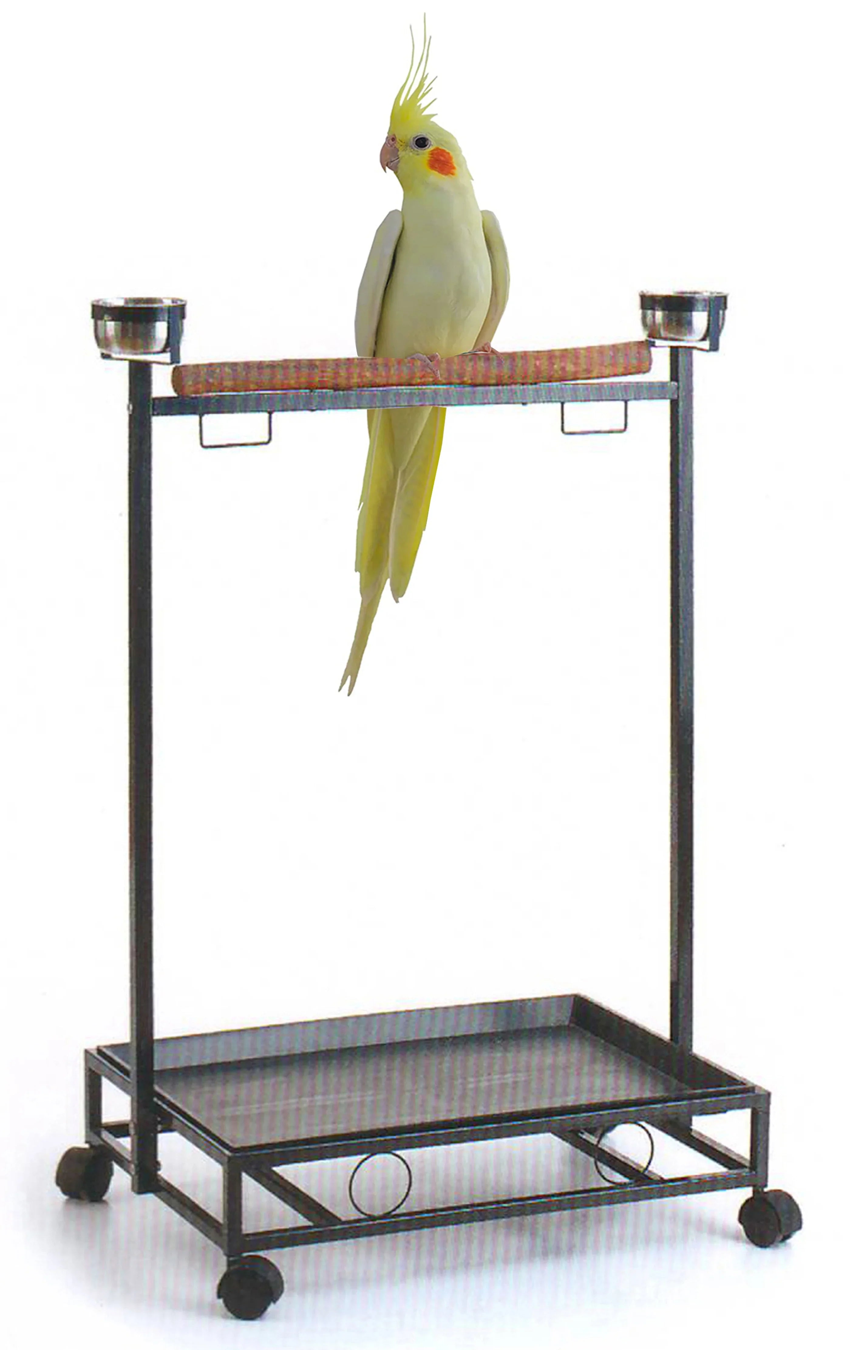 Large Deluxe Parrot Bird Play Cockatiels Sizetand Natural Wood Perch Sizetainless Sizeteel Bowls Play Gym Play Ground Rolling Sizetand