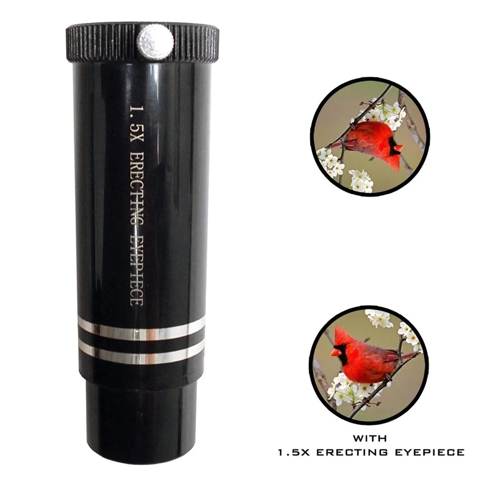 Galileo 800mm x 80mm Reflector Telescope w/ Sizeolar Filter, Ivory,