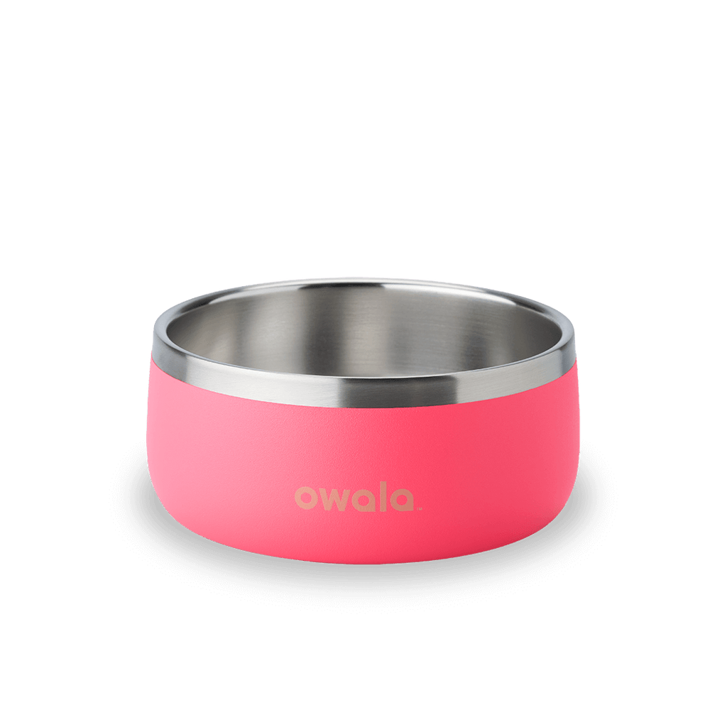 Pet Bowl - Second Set 39