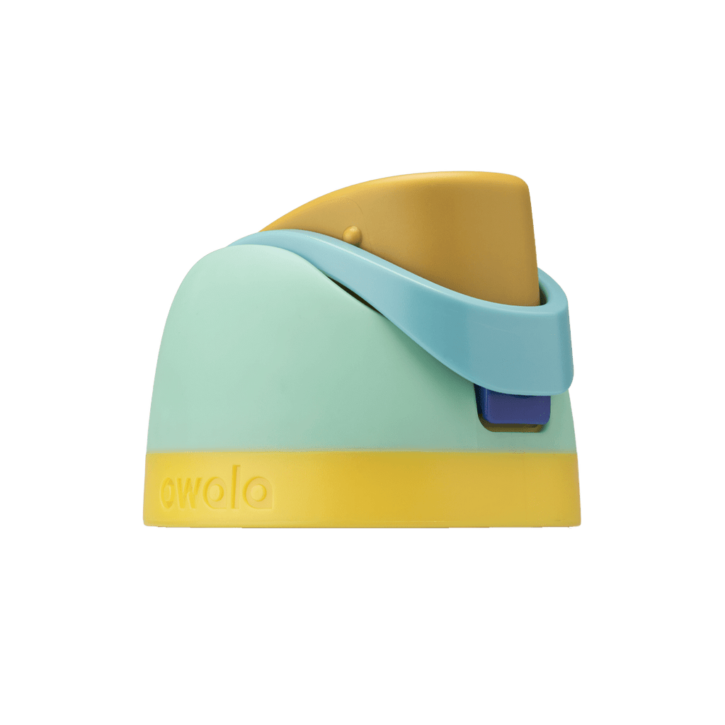 Brunch Bunch